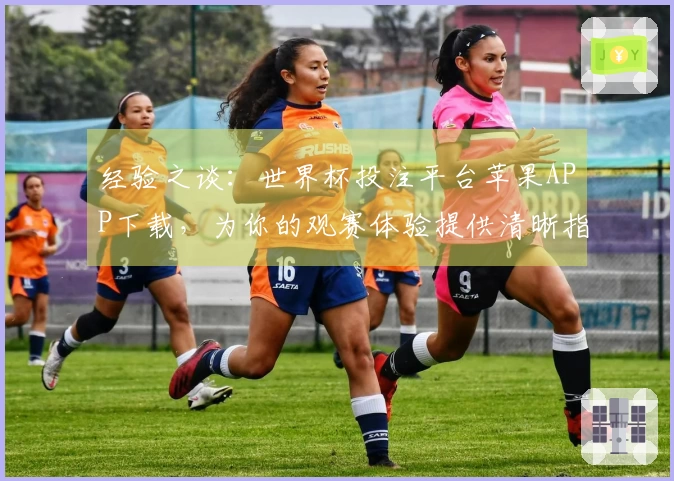 经验之谈：世界杯投注平台苹果APP下载，为你的观赛体验提供清晰指引