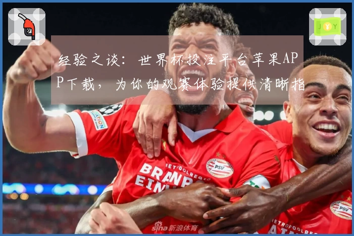 经验之谈：世界杯投注平台苹果APP下载，为你的观赛体验提供清晰指引