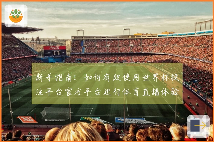 新手指南：如何有效使用世界杯投注平台官方平台进行体育直播体验
