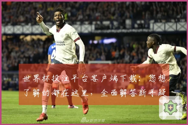 世界杯投注平台客户端下载：您想了解的都在这里，全面解答新手疑问