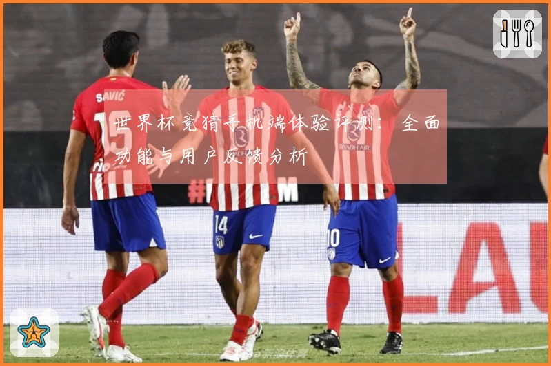 世界杯竞猜手机端体验评测：全面功能与用户反馈分析