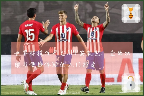 世界杯投注平台APP安装包：全面功能与便捷体验的入门指南