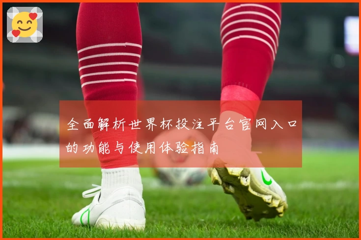 全面解析世界杯投注平台官网入口的功能与使用体验指南