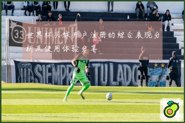 世界杯买球开户注册的综合表现分析及使用体验分享